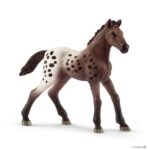 PULEDRO APPALOOSA