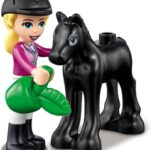 41441 FRIENDS Addestramento equestre e rimorchio